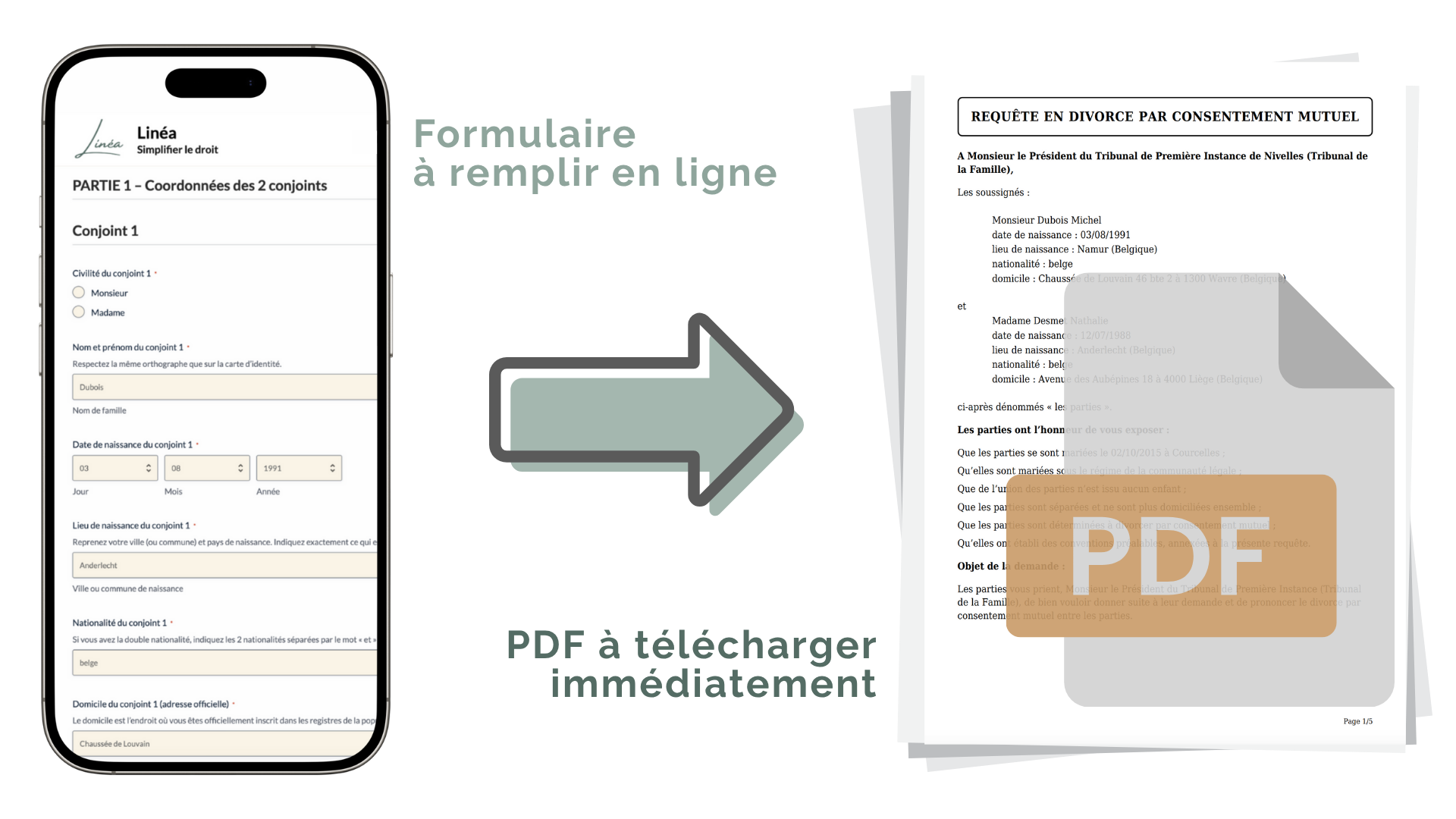 Aperçu du document PDF généré par Linéa, après remplissage du formulaire en ligne