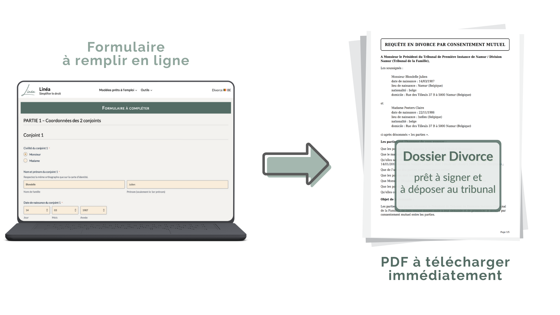 Aperçu du document PDF généré par Linéa, après remplissage du formulaire en ligne