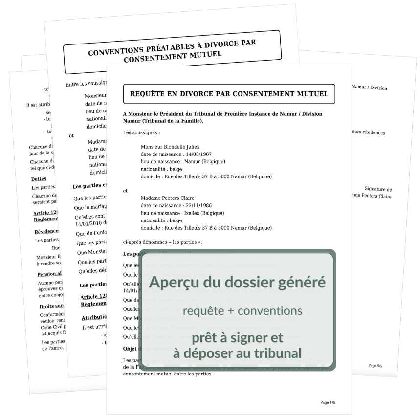 Aperçu du pdf généré sur base des réponses au formulaire dcm1